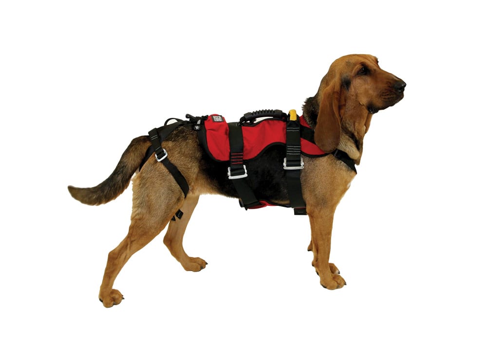 K9 RAPPEL HARNESS