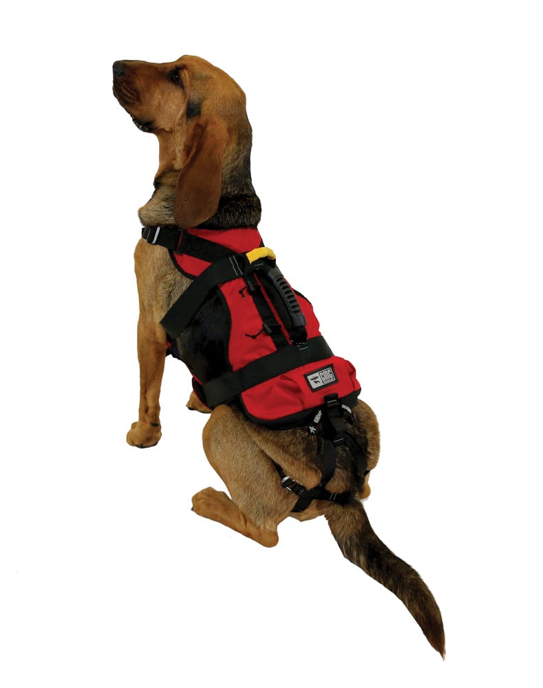 K9 RAPPEL HARNESS