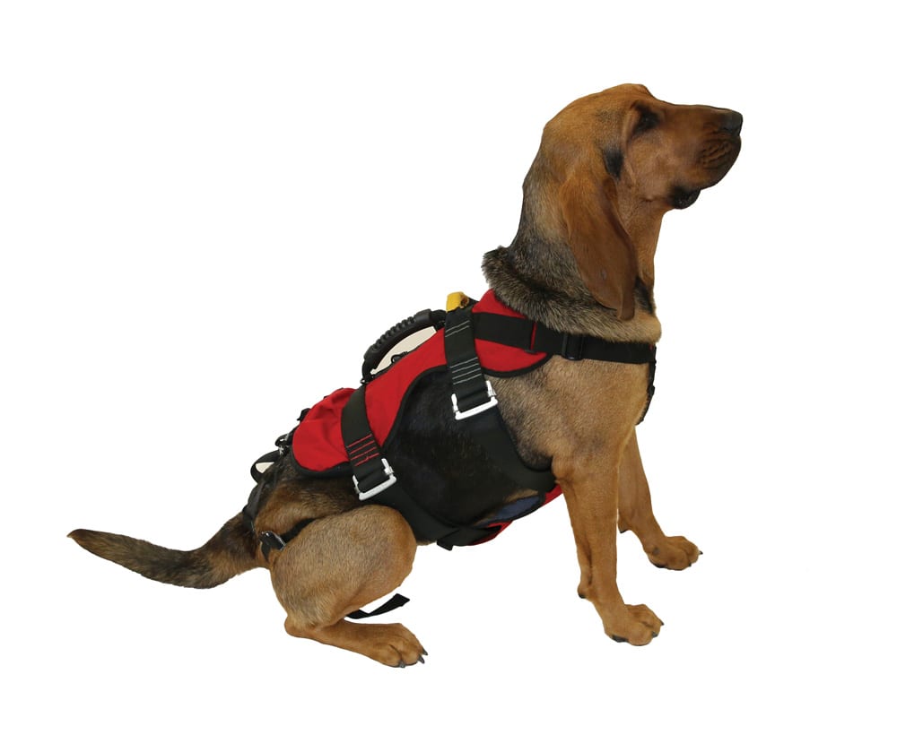 K9 RAPPEL HARNESS