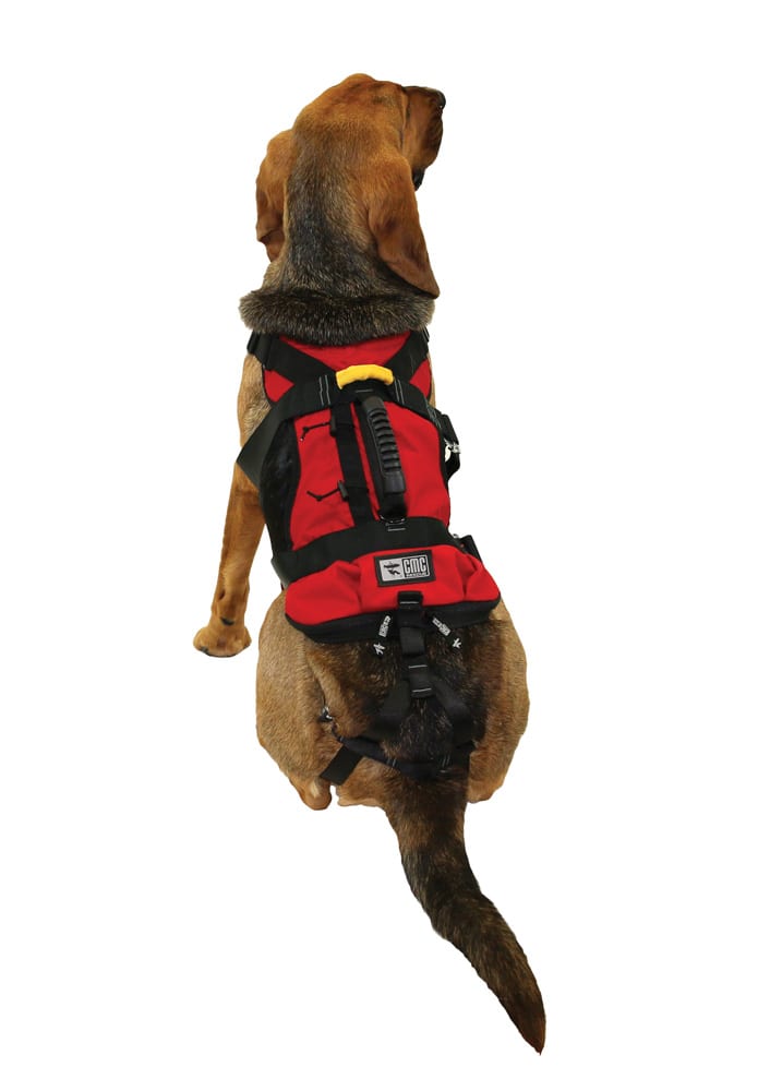 K9 RAPPEL HARNESS